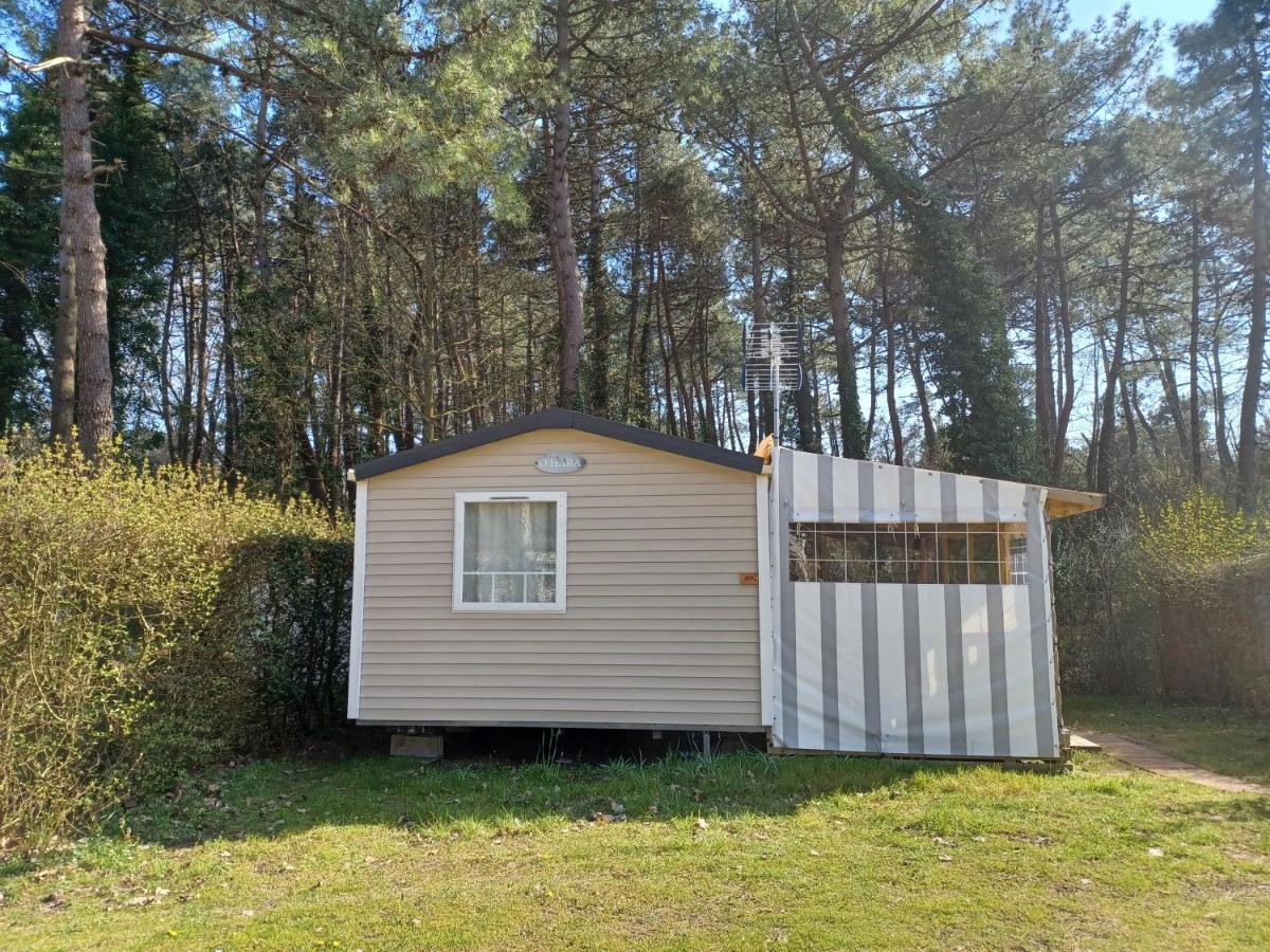 Camping La Dune Blanche Camiers Εξωτερικό φωτογραφία